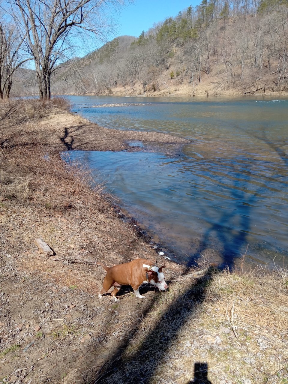 20230320_133342.jpg
