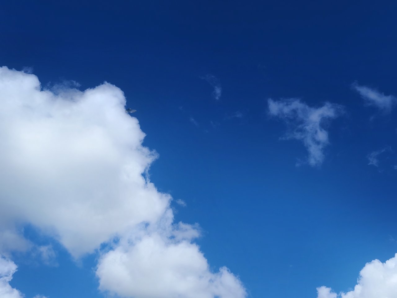 20230322_150100.jpg