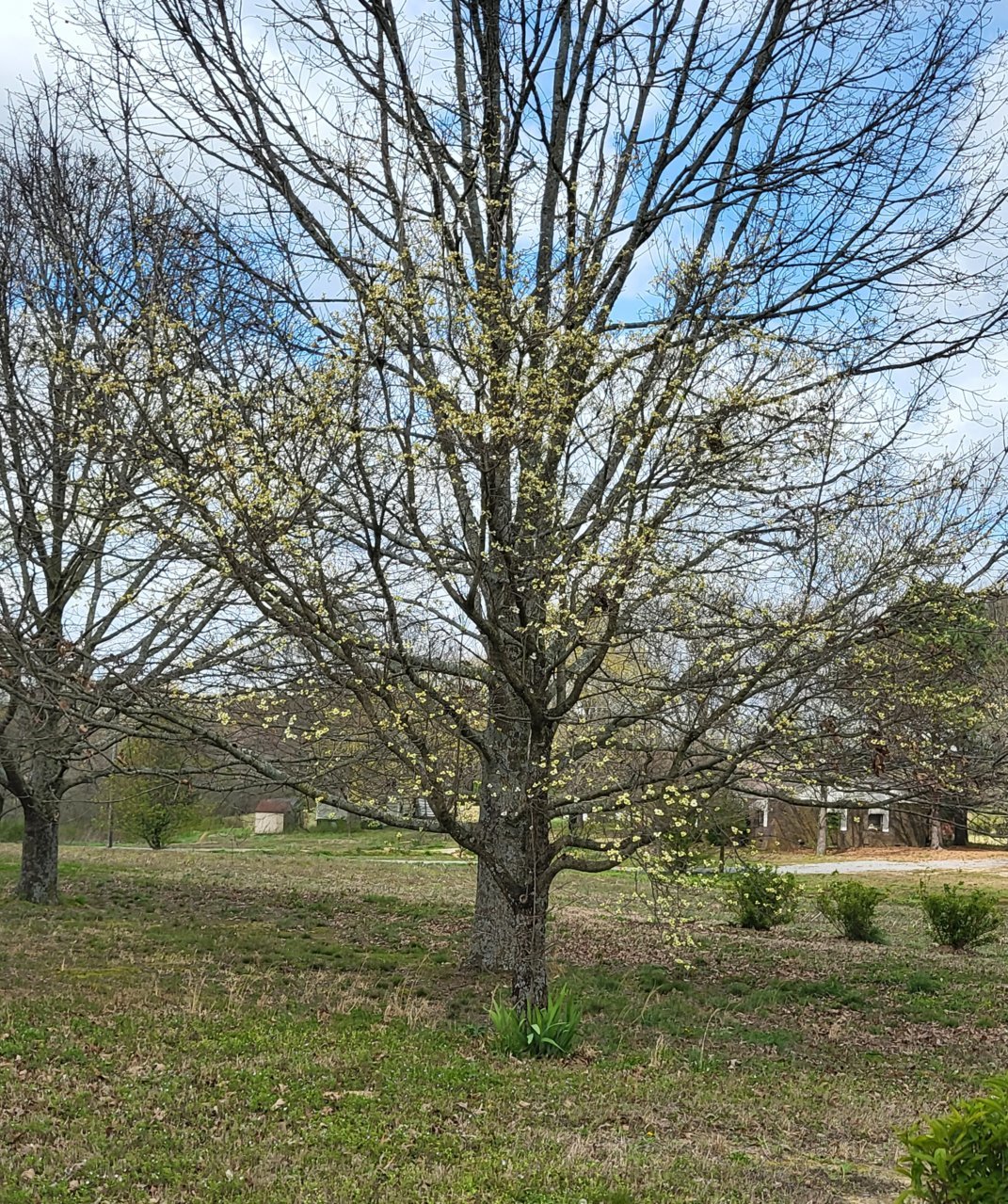 20230324_111510.jpg