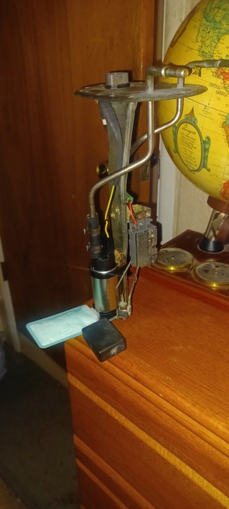 20230324_183409.jpg