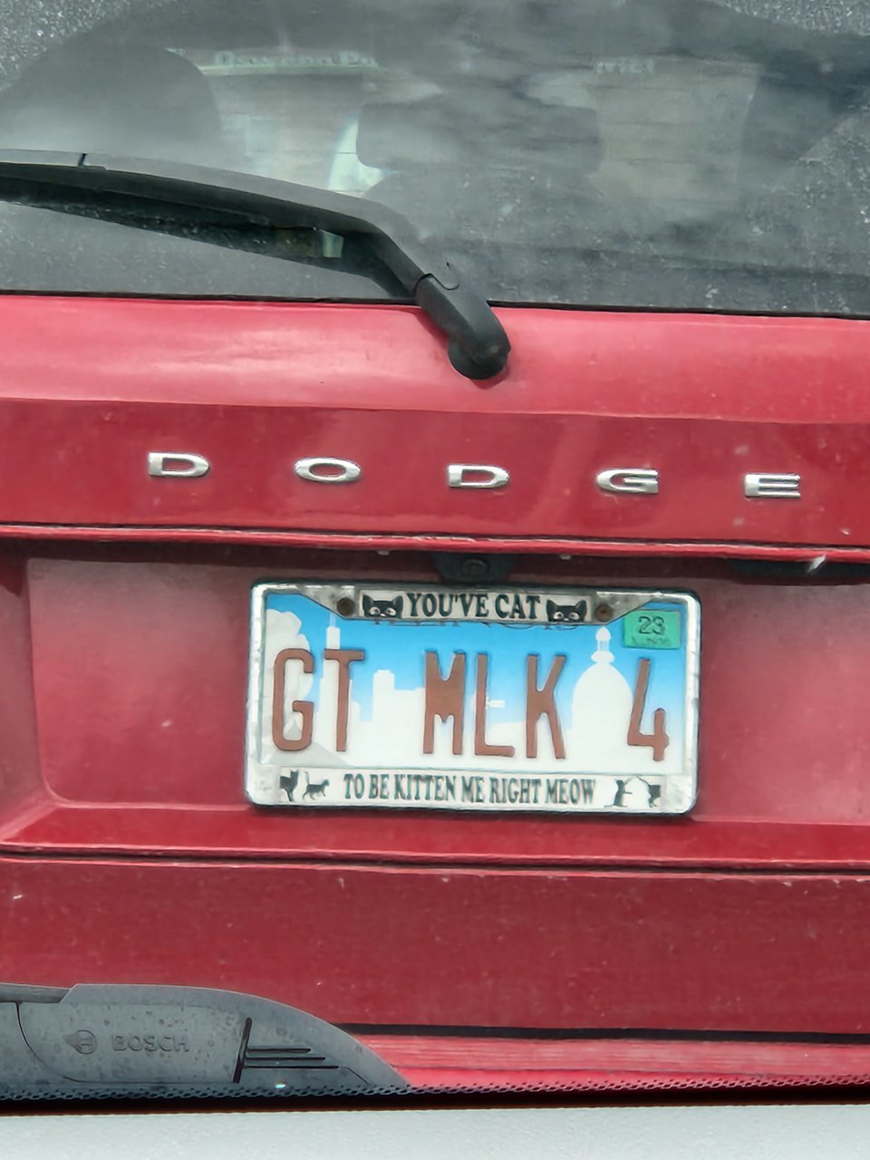 20230325_131207.jpg