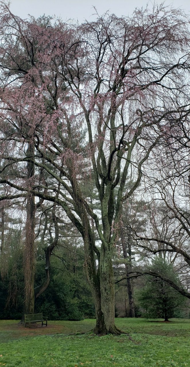 20230325_183626.jpg