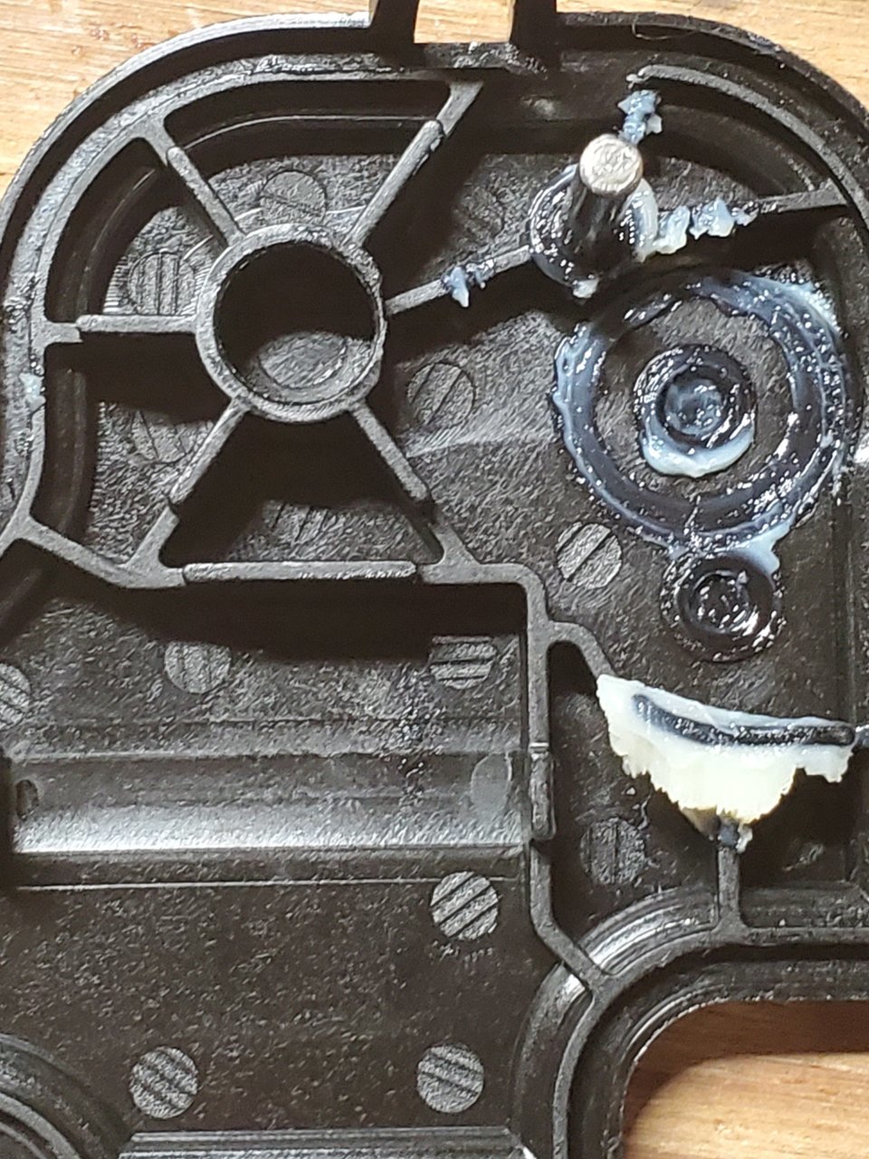 20230326_091142.jpg