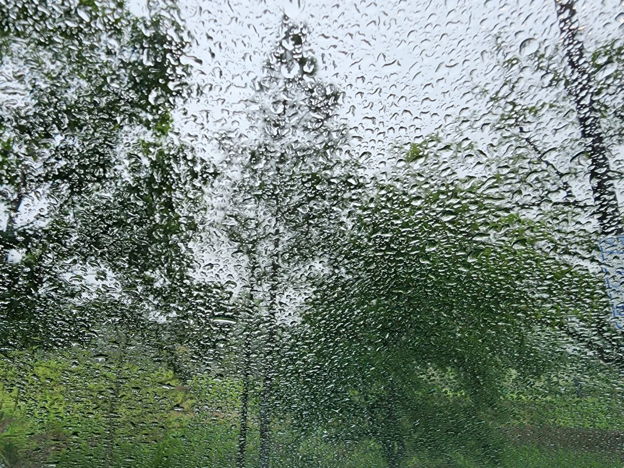 20230326_111834.jpg