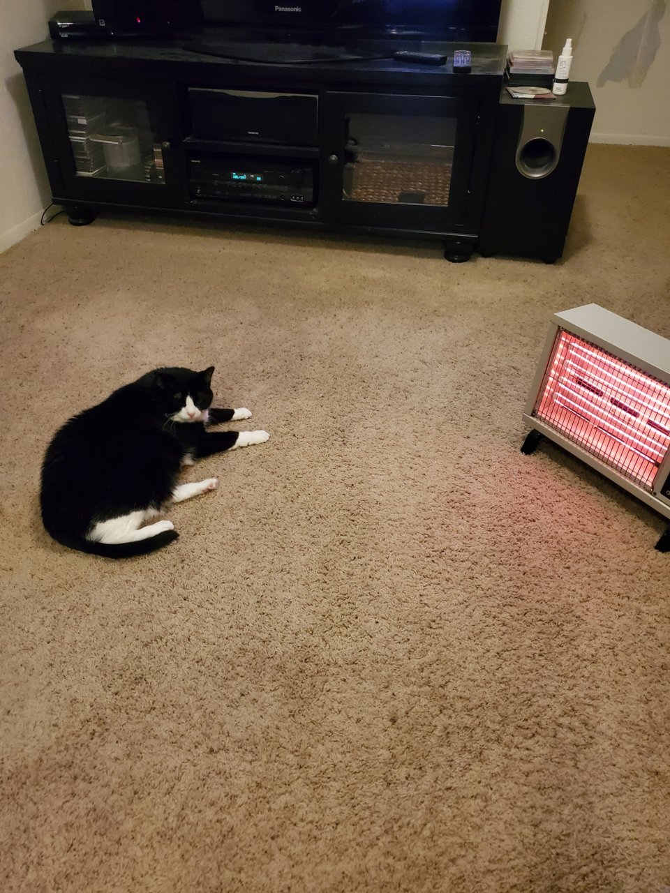 20230326_121514.jpg