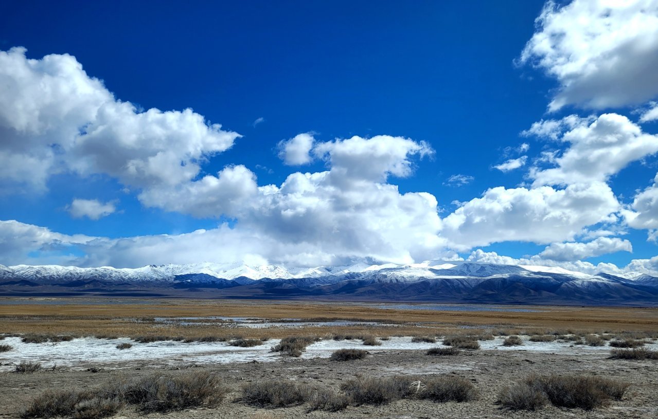20230326_131018.jpg