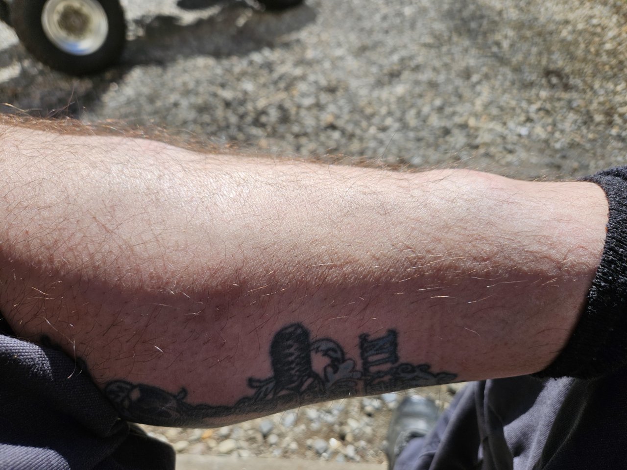 20230326_151220.jpg