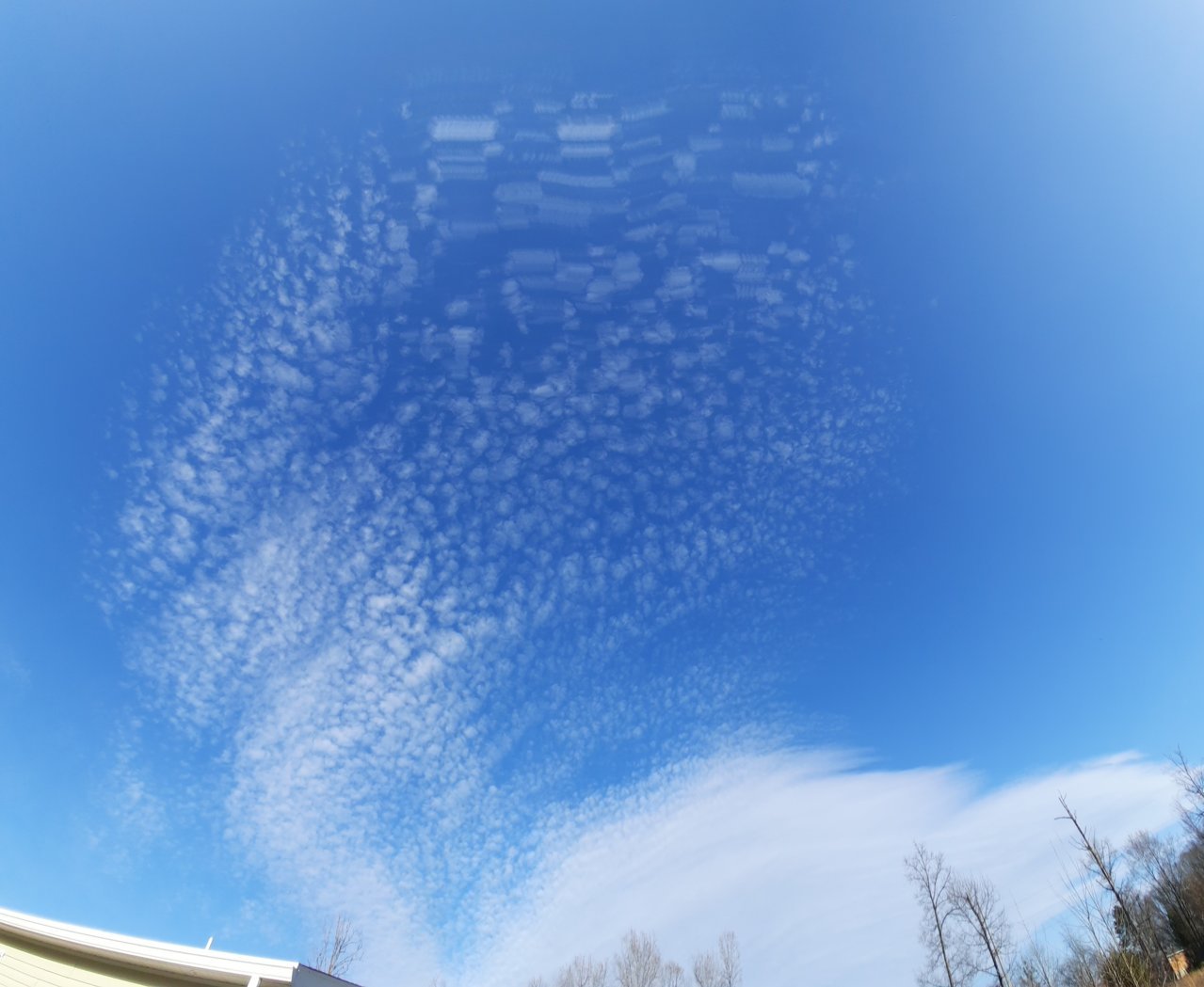 20230326_175710.jpg
