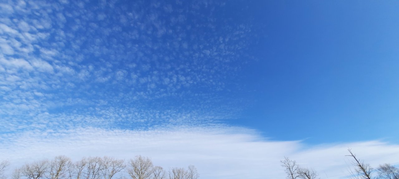 20230326_175748.jpg