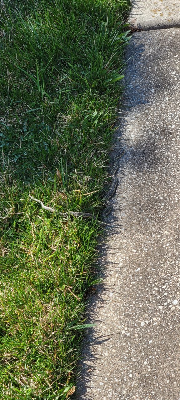 20230327_120801.jpg