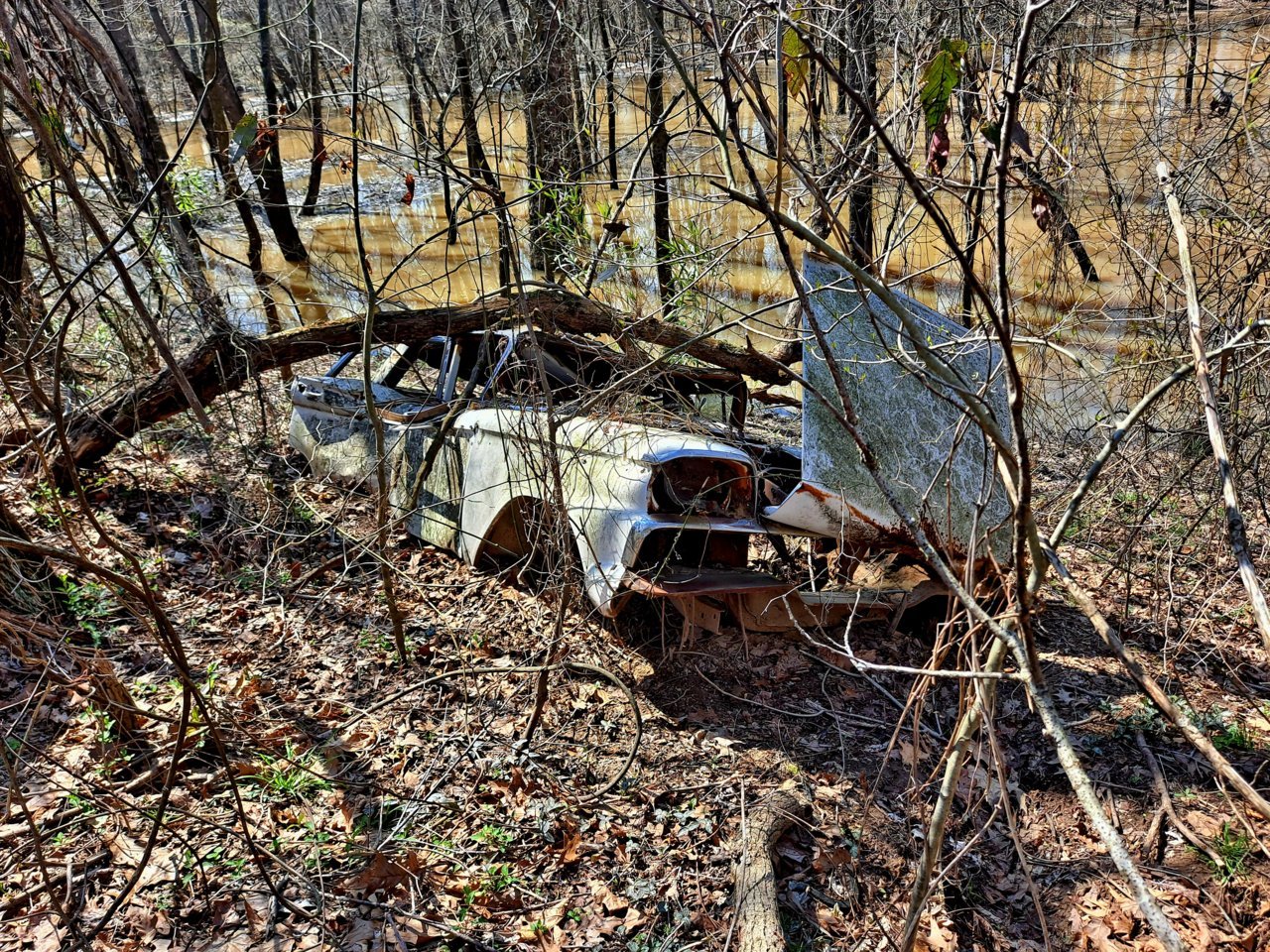20230327_144109.jpg