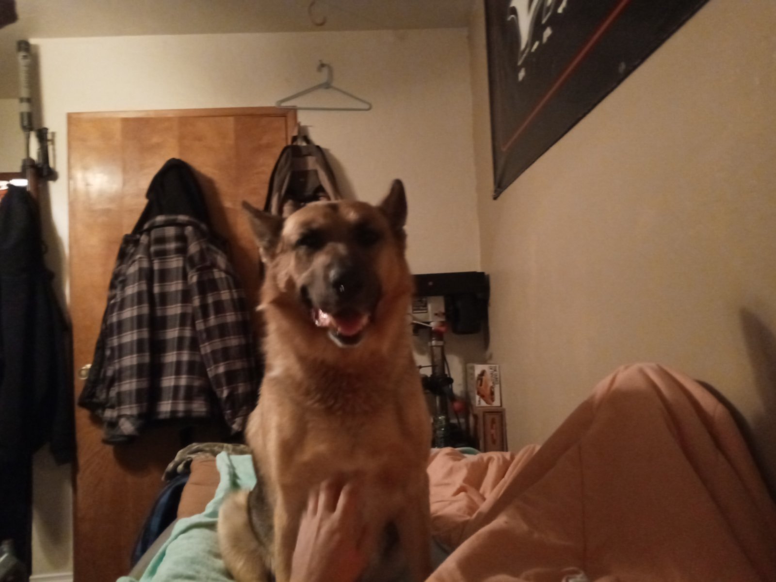 20230328_040508.jpg