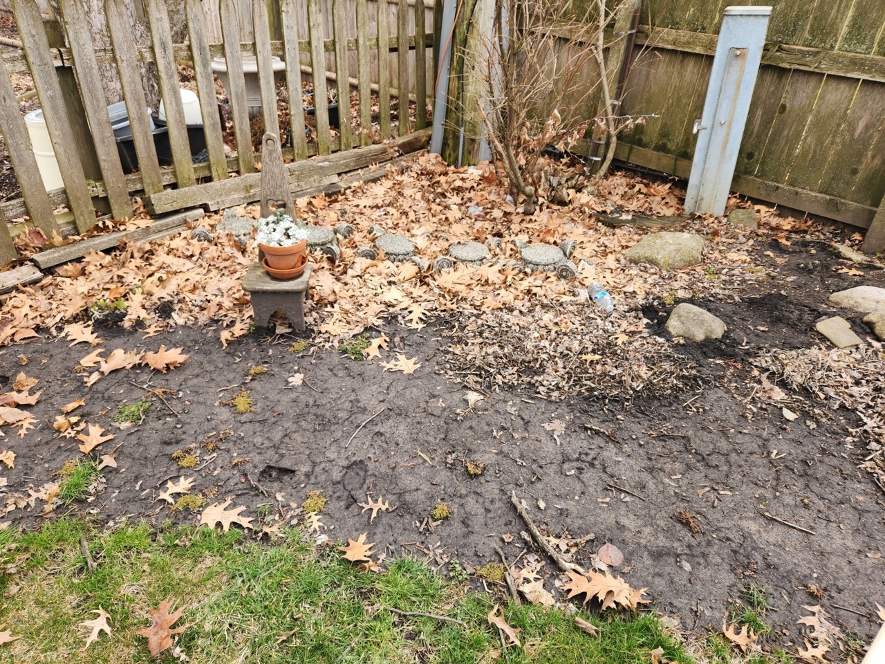 20230328_104802.jpg