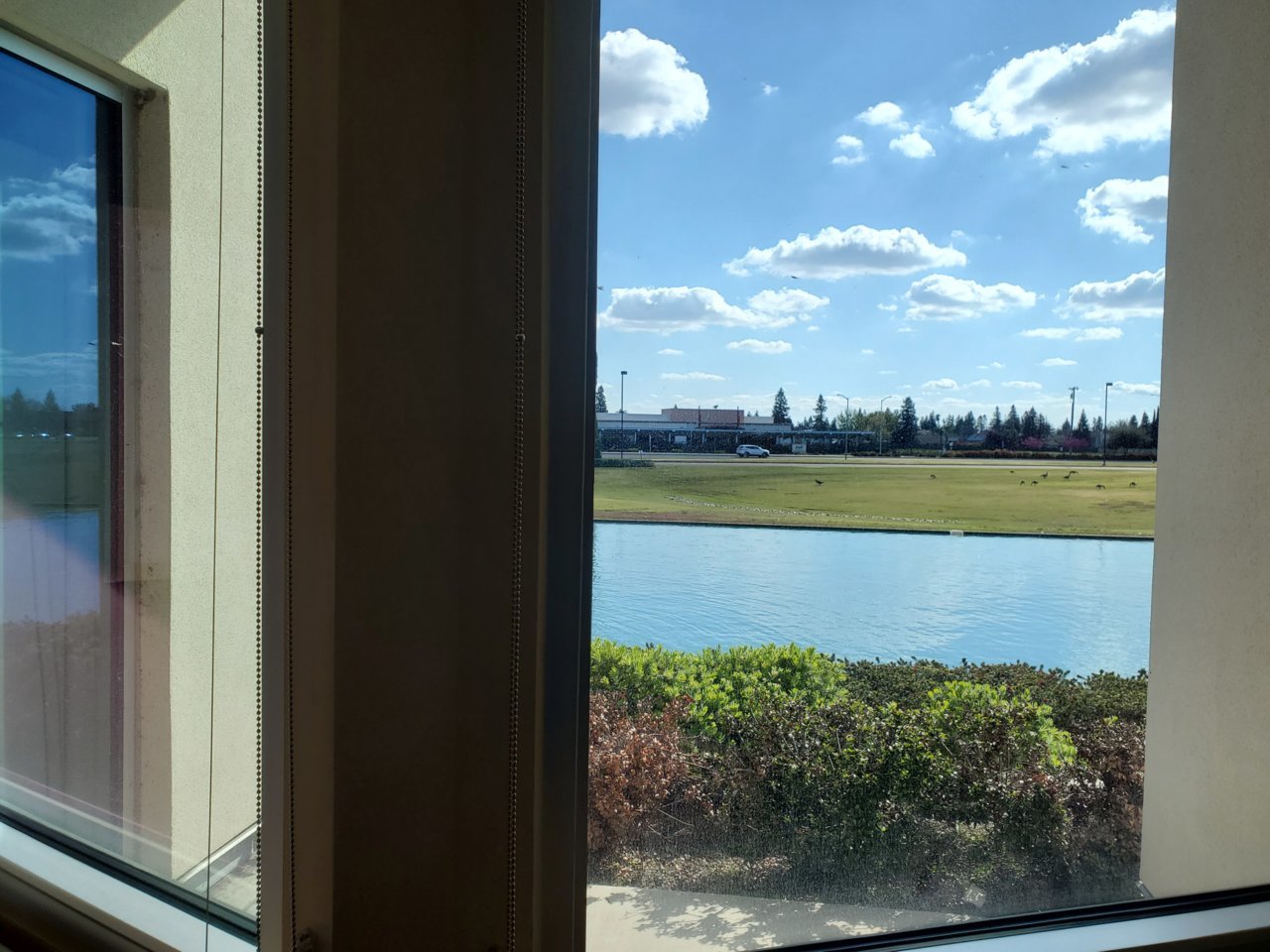 20230331_154914.jpg
