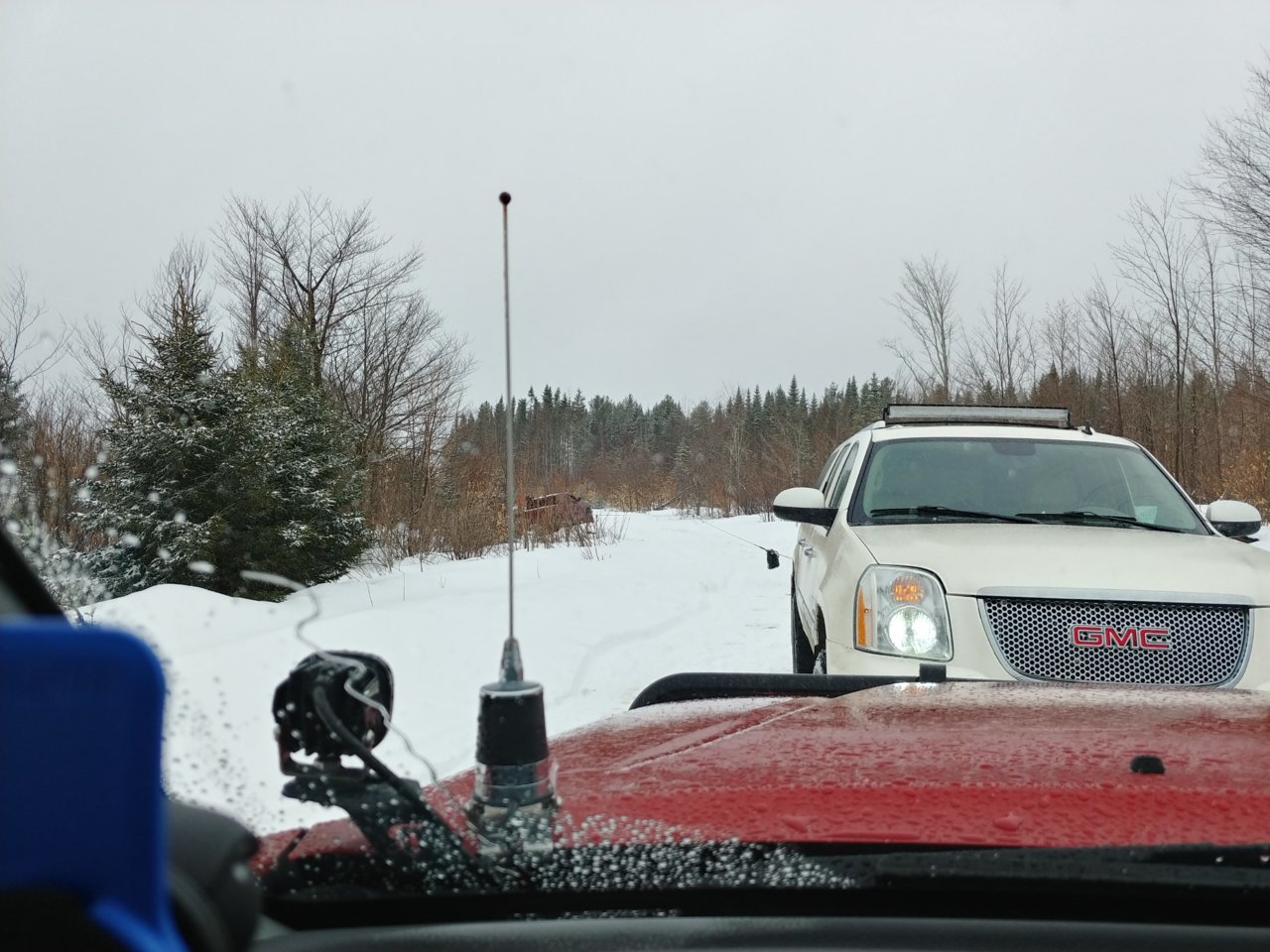 20230401_121756_HDR.jpg
