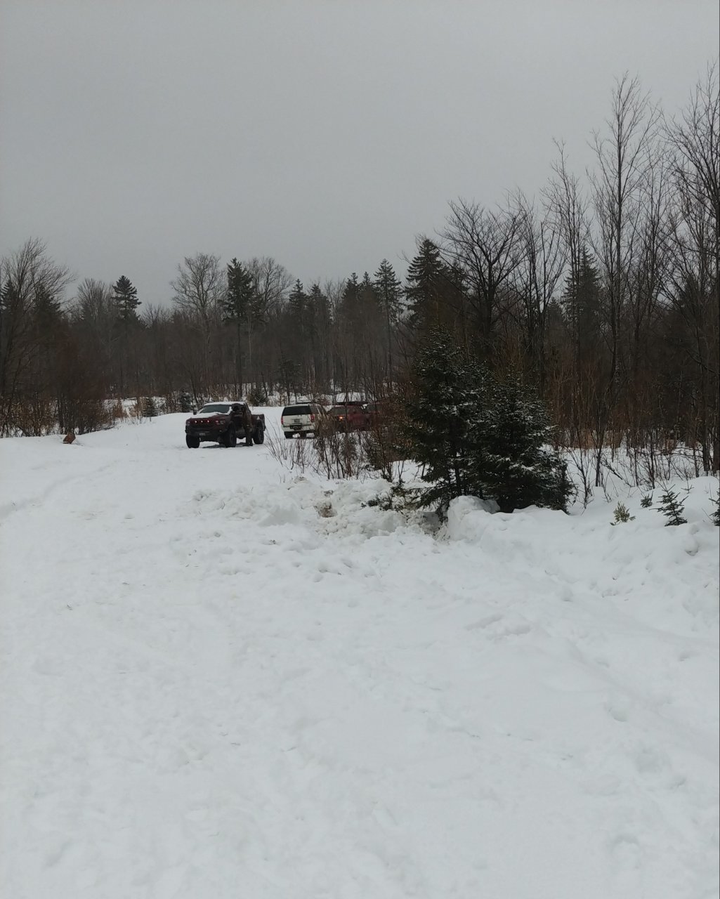 20230401_123602-1.jpg