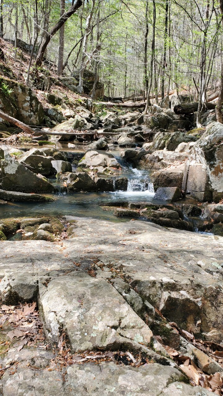 20230402_134147.jpg