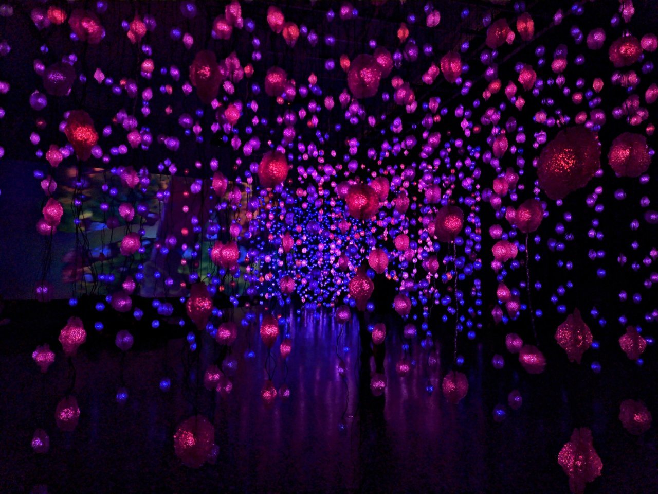 20230406_130557~2.jpg