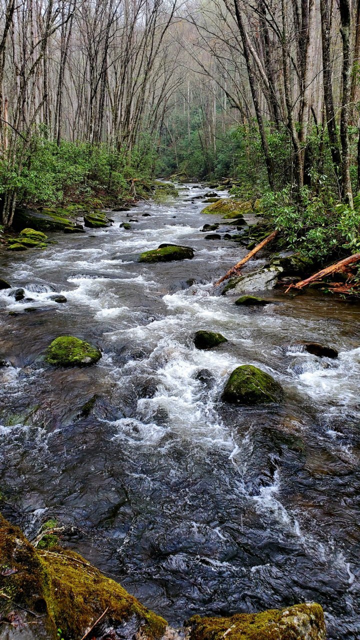 20230407_105925.jpg