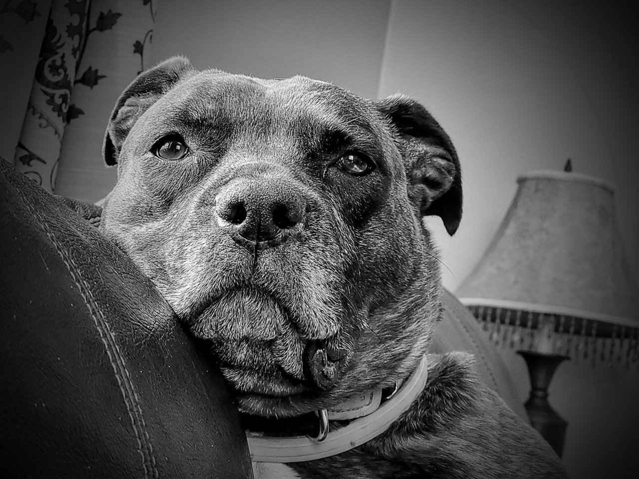20230408_073431~3.jpg
