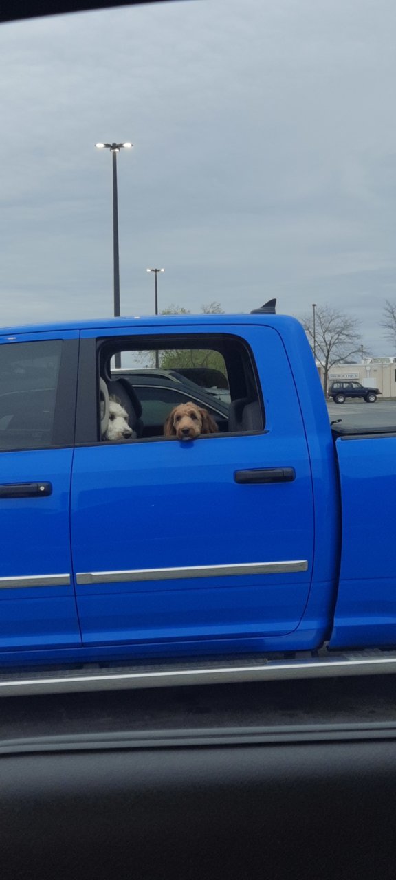20230408_115052.jpg