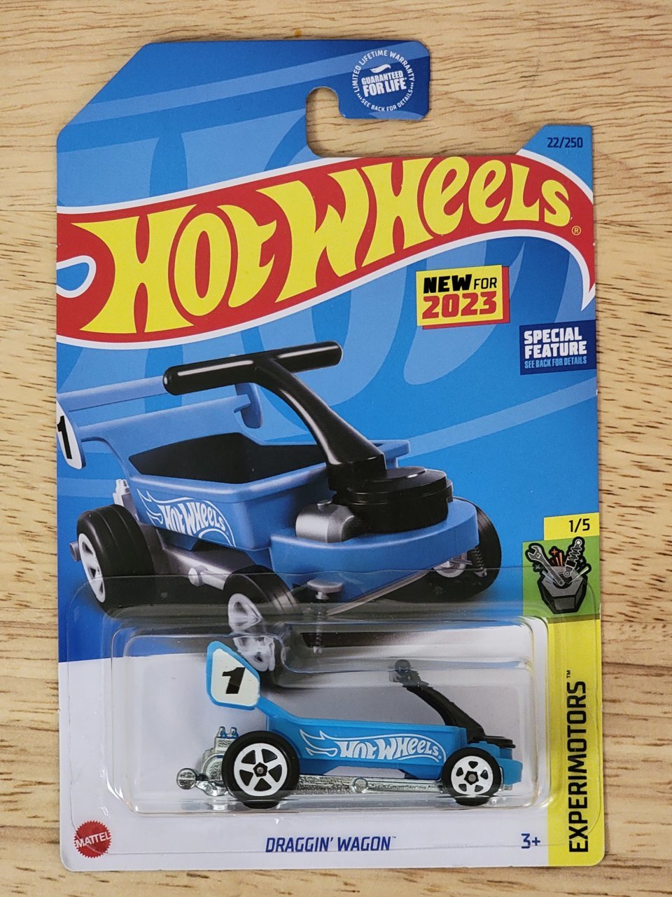 20230410_115546.jpg