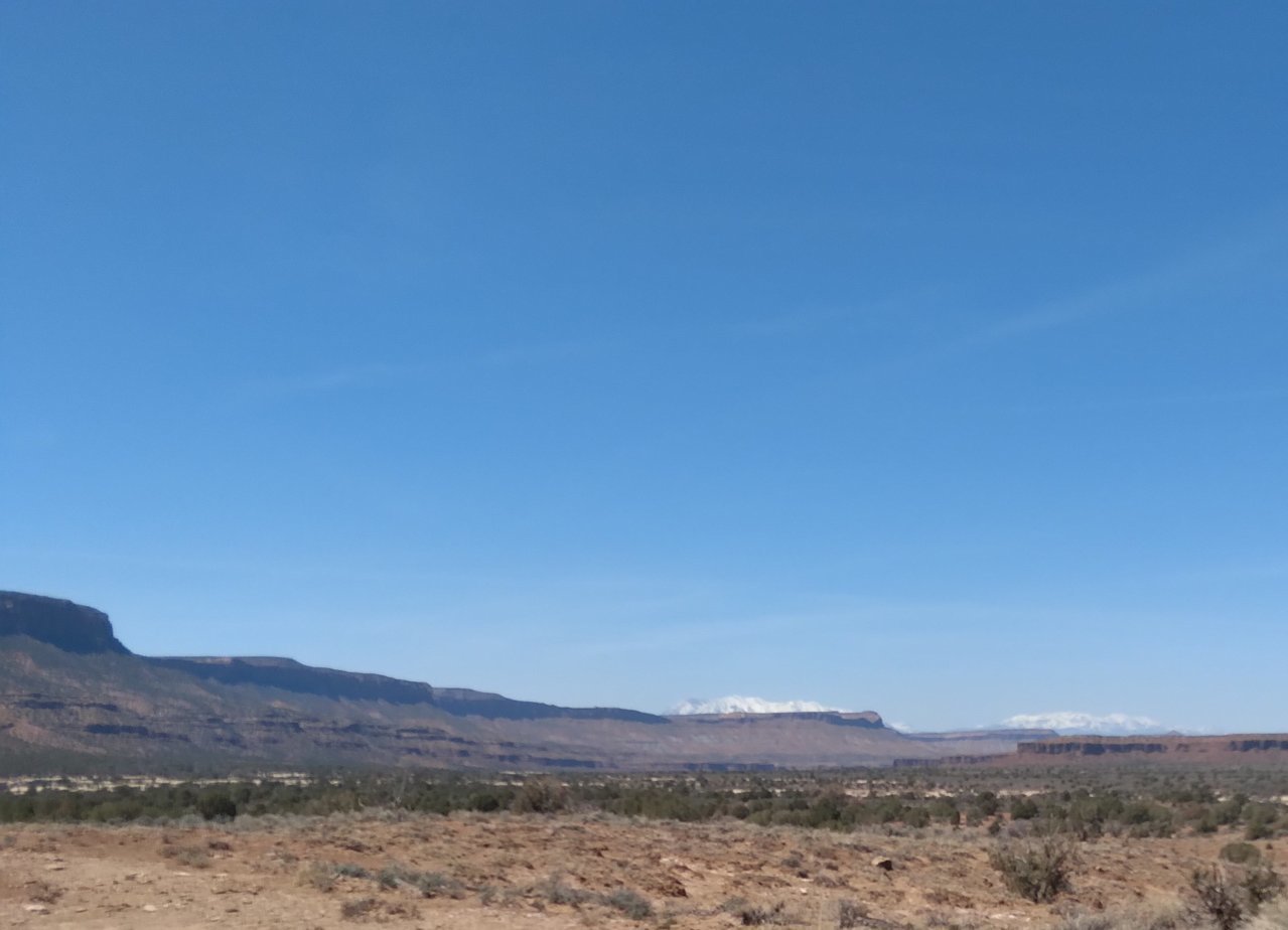 20230410_140825.jpg