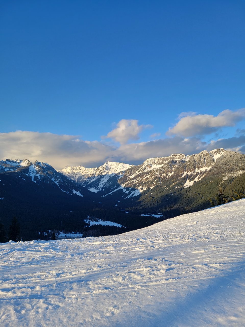 20230412_191303.jpg