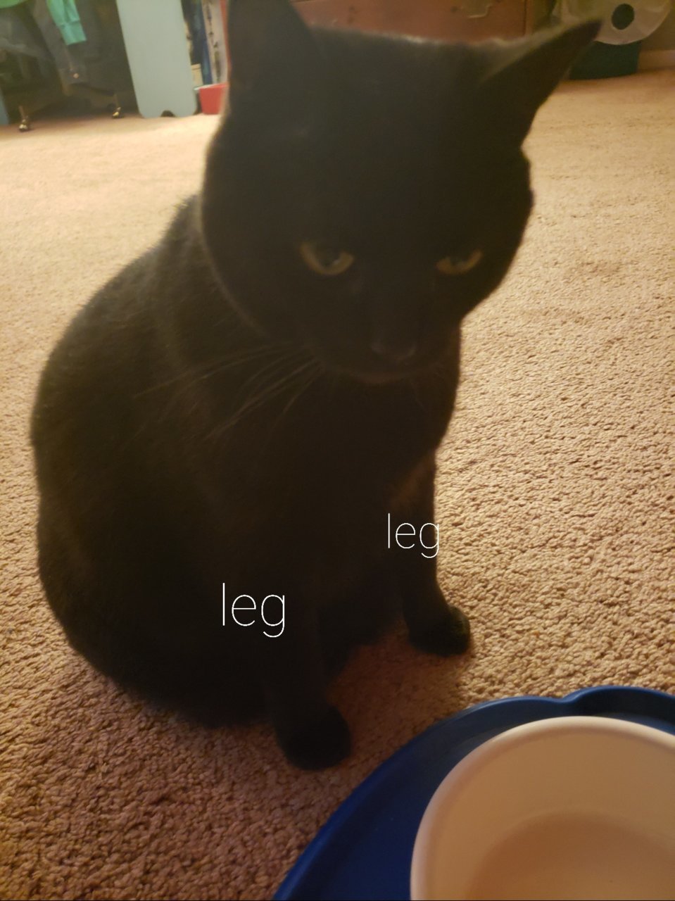 20230412_194347.jpg