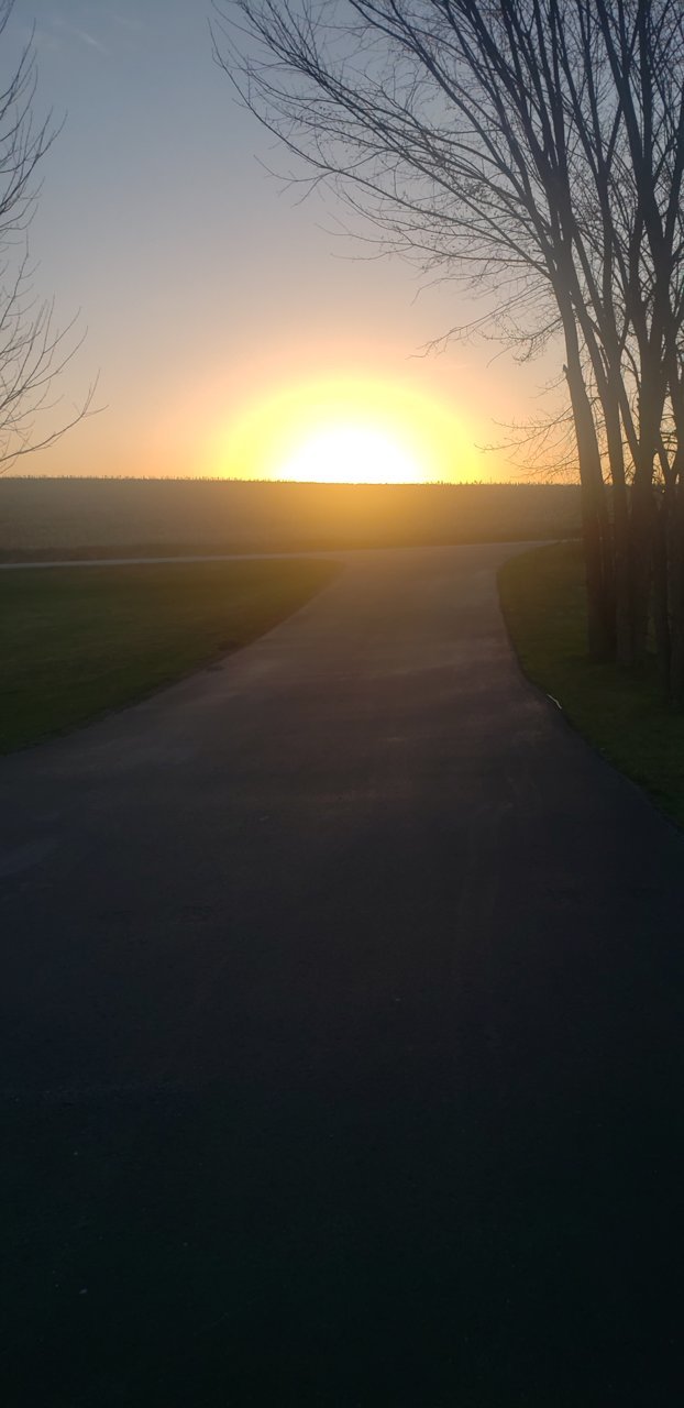 20230413_063222.jpg