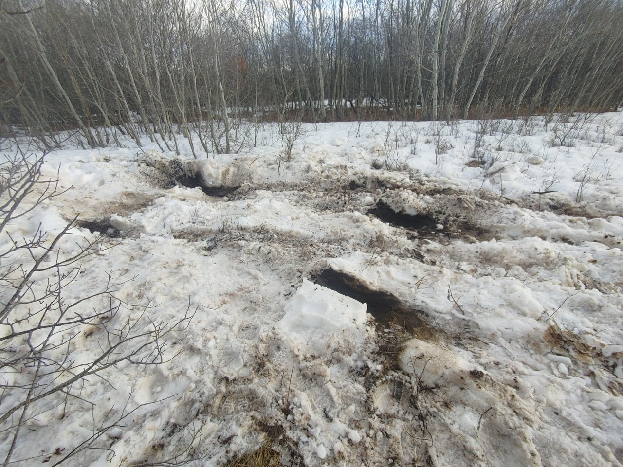 20230413_185717_HDR.jpg