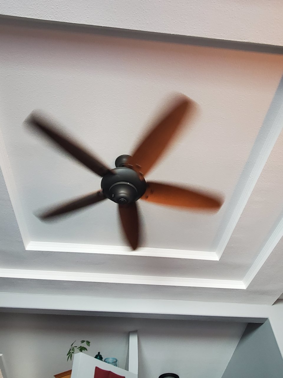 20230414_180137.jpg