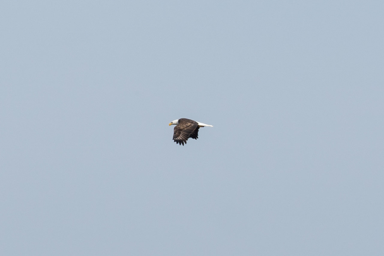 20230415-TW-05-PotosiPoint-06.jpg