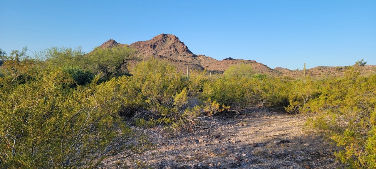 20230415_065244.jpg