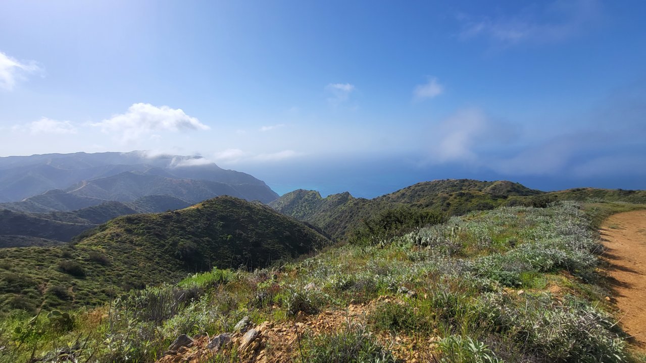 20230415_092457.jpg