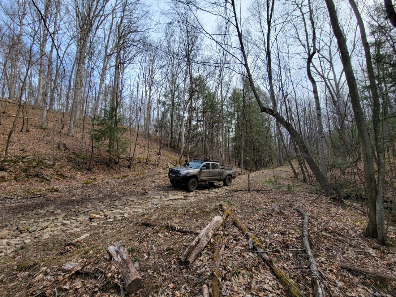 20230415_094340.jpg