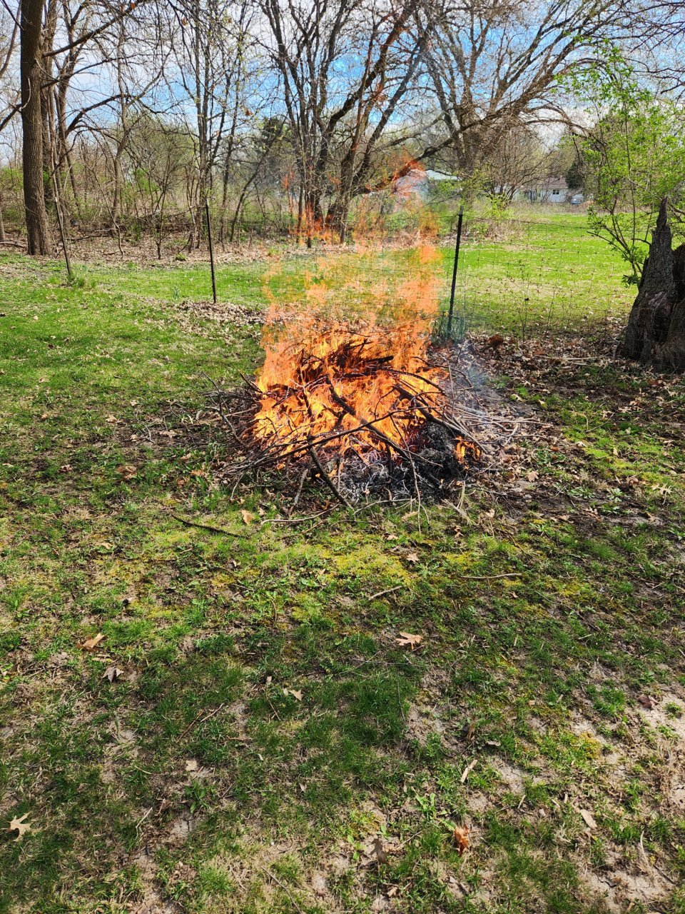 20230415_101006.jpg