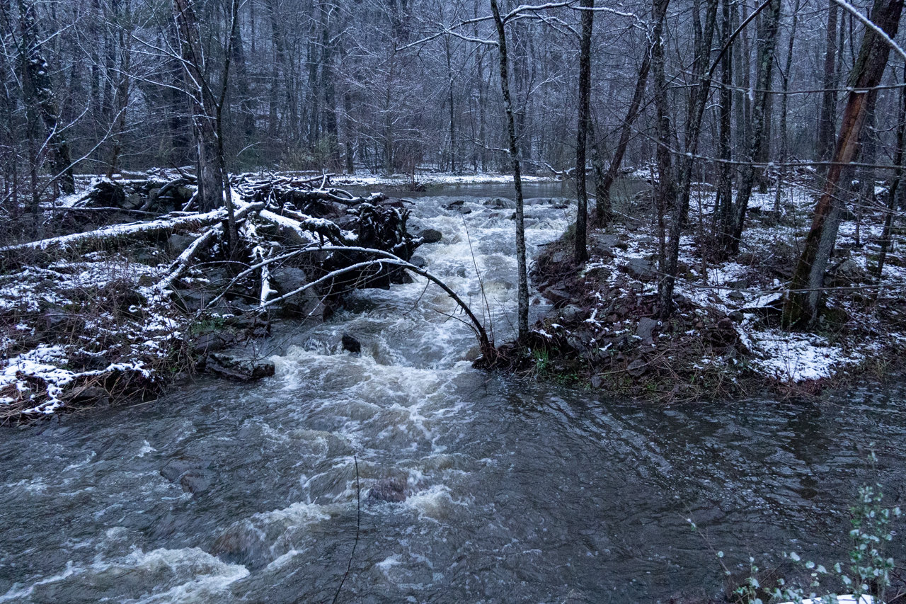 20230416-TW-12-BaxtersHollow-01.jpg