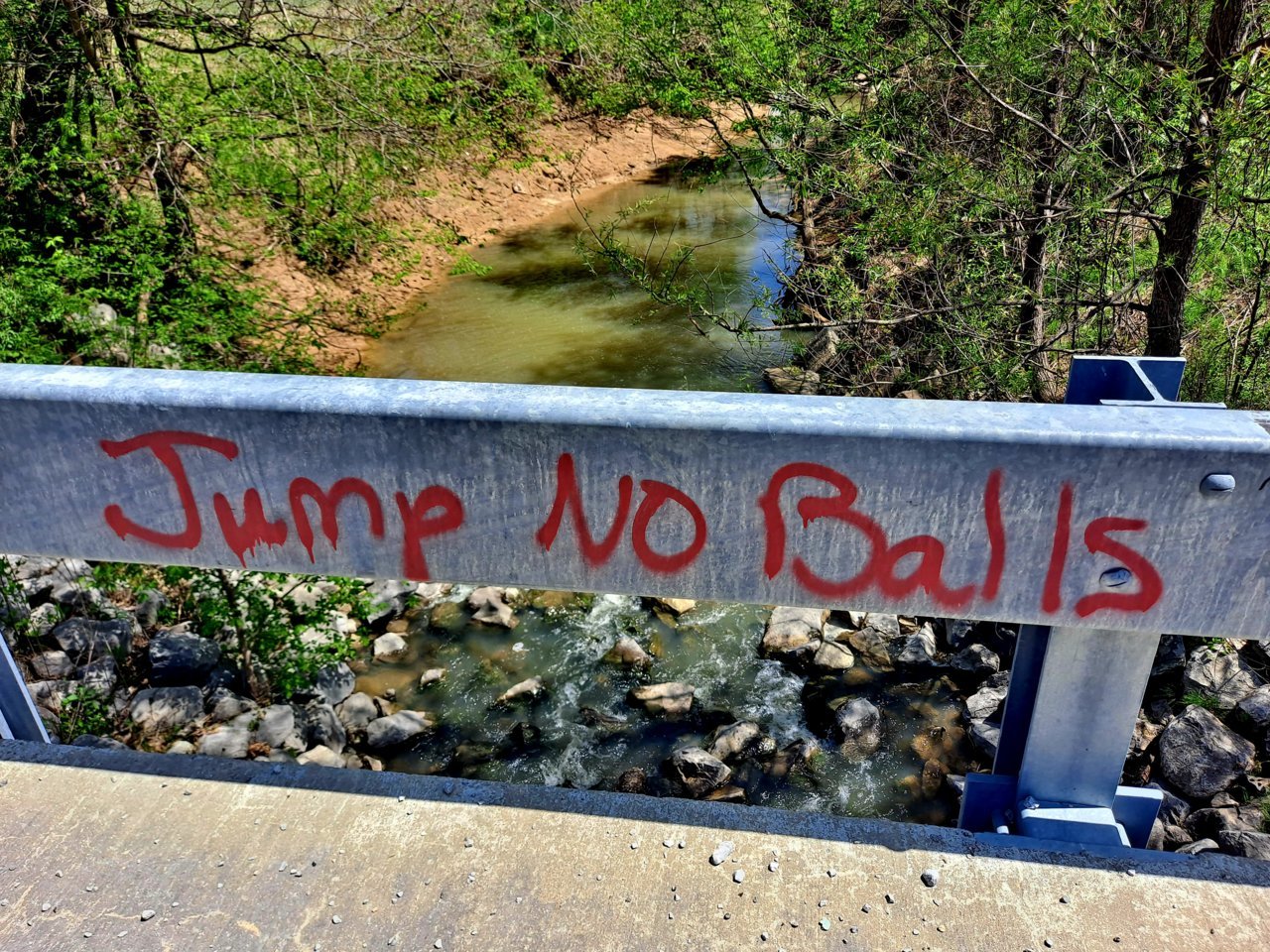 20230417_130354.jpg