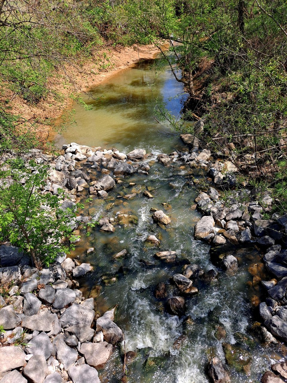 20230417_130413.jpg