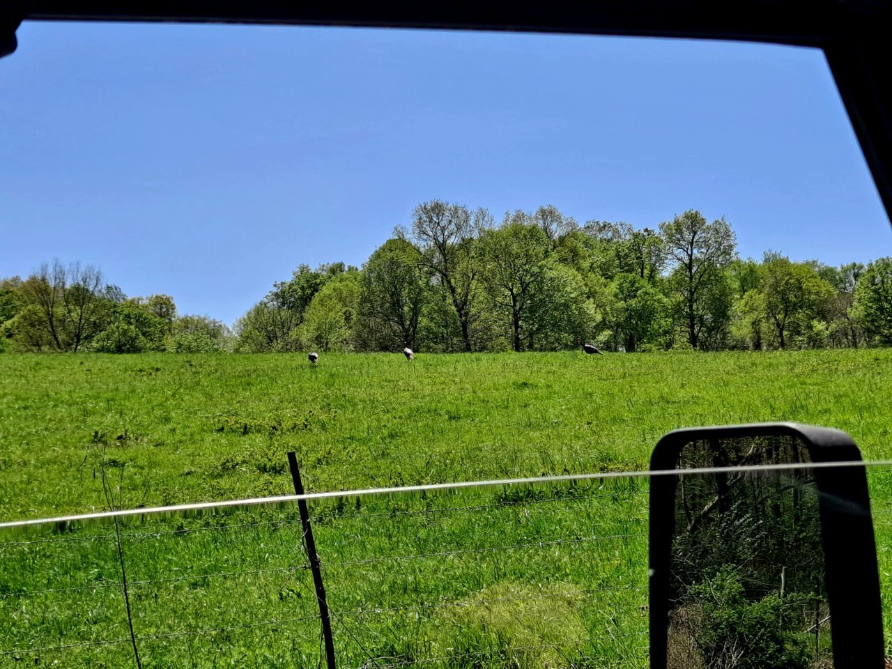 20230417_134136.jpg
