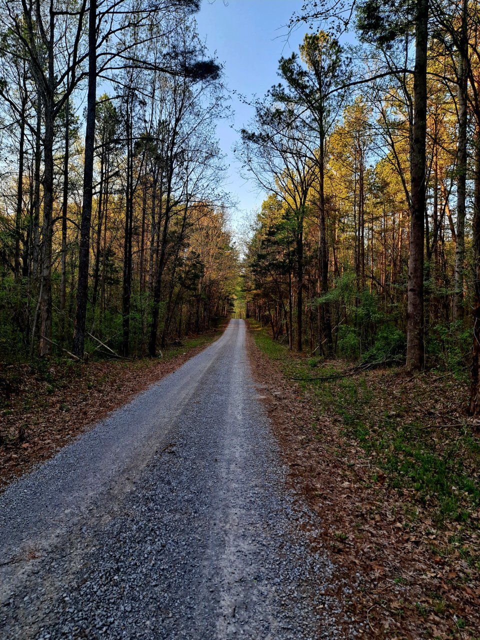 20230417_183147.jpg