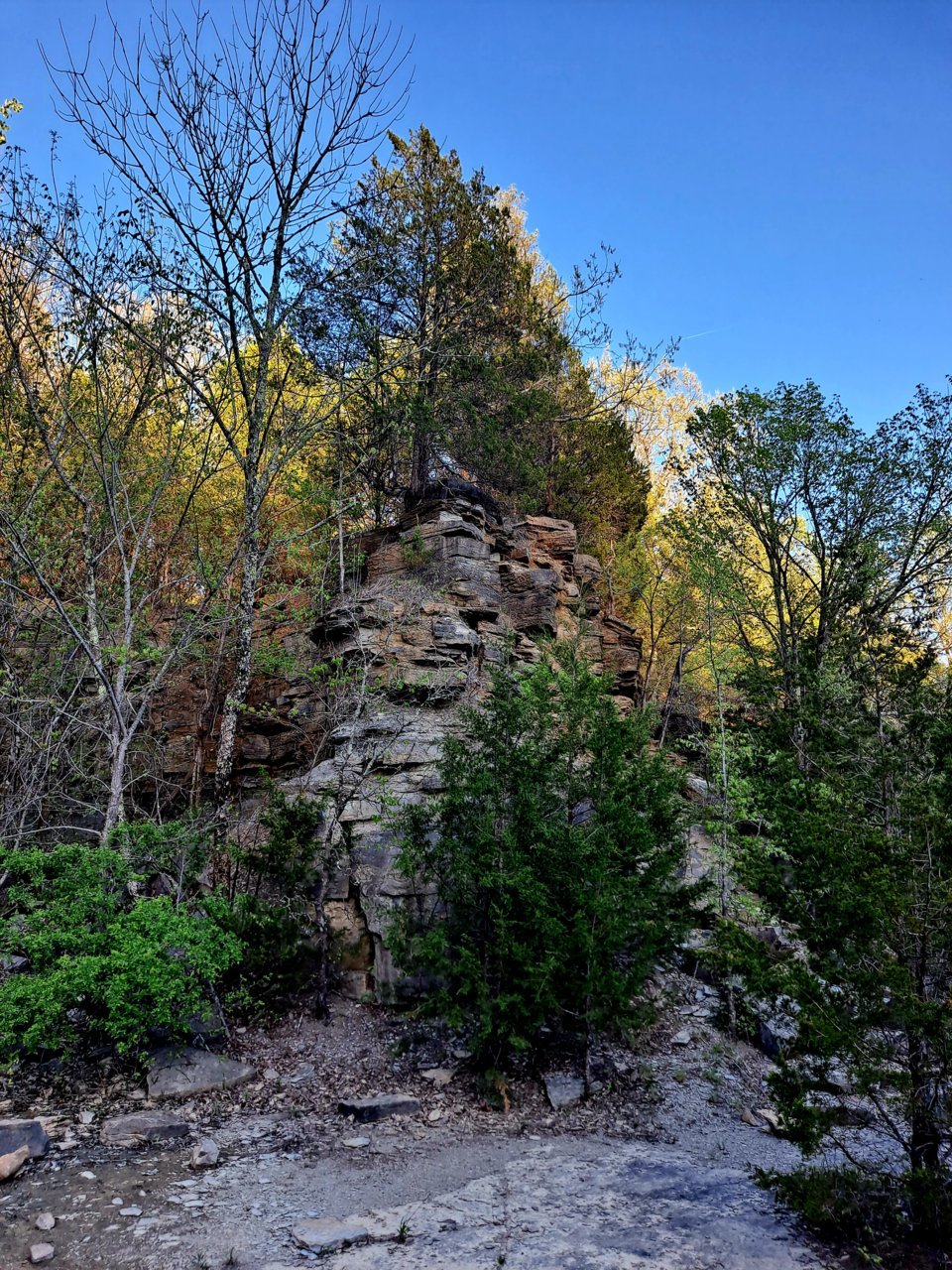 20230417_183540.jpg