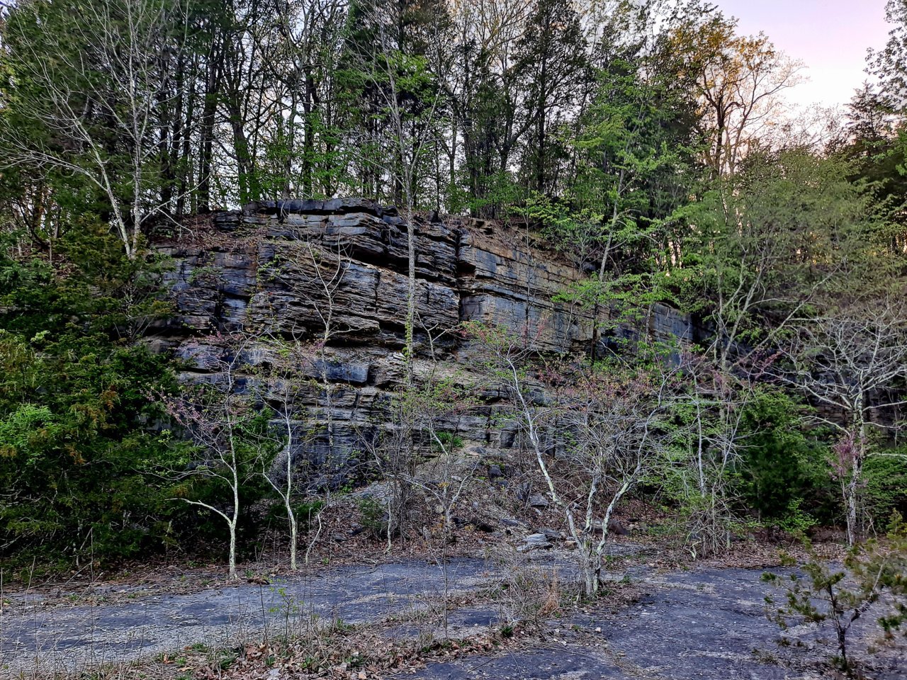 20230417_183635.jpg