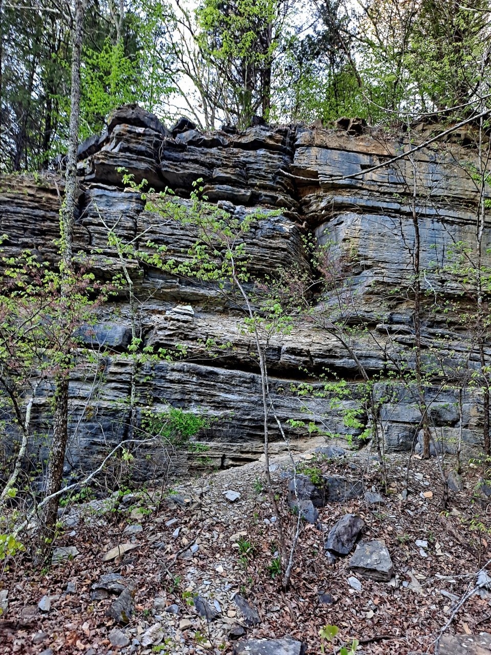 20230417_183730.jpg
