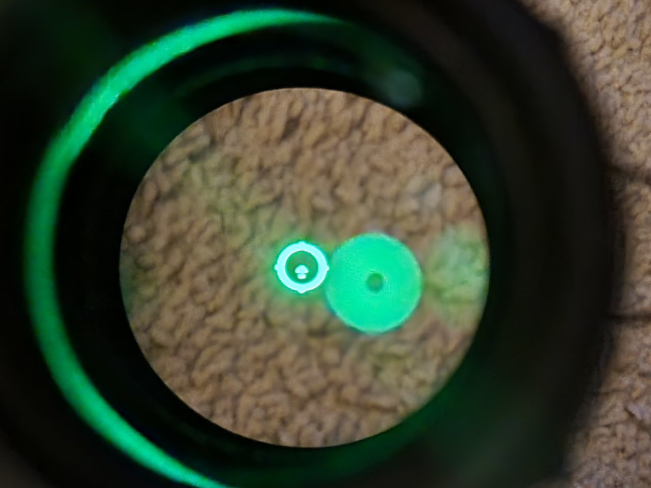 20230418_193014.jpg