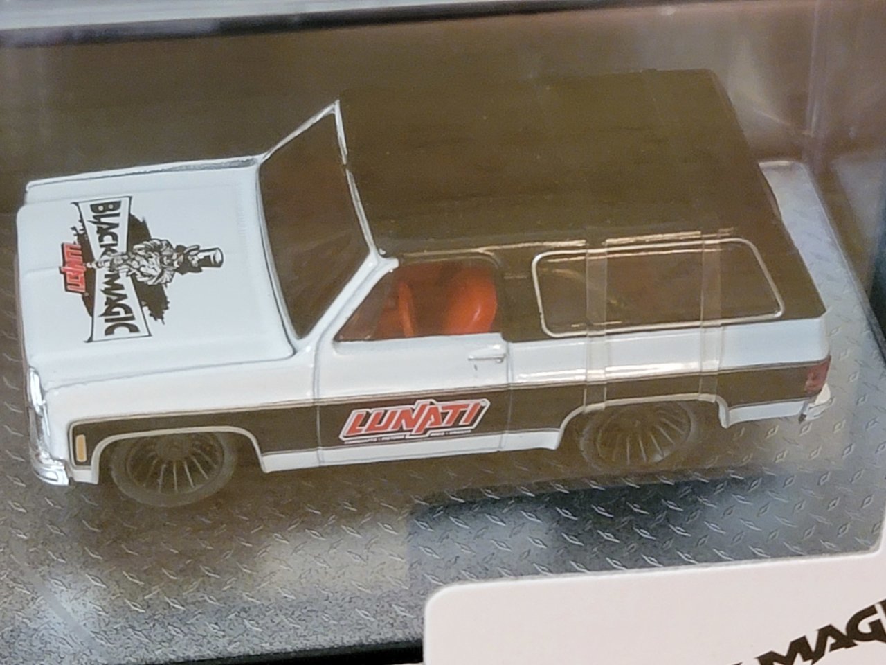 20230419_083136.jpg