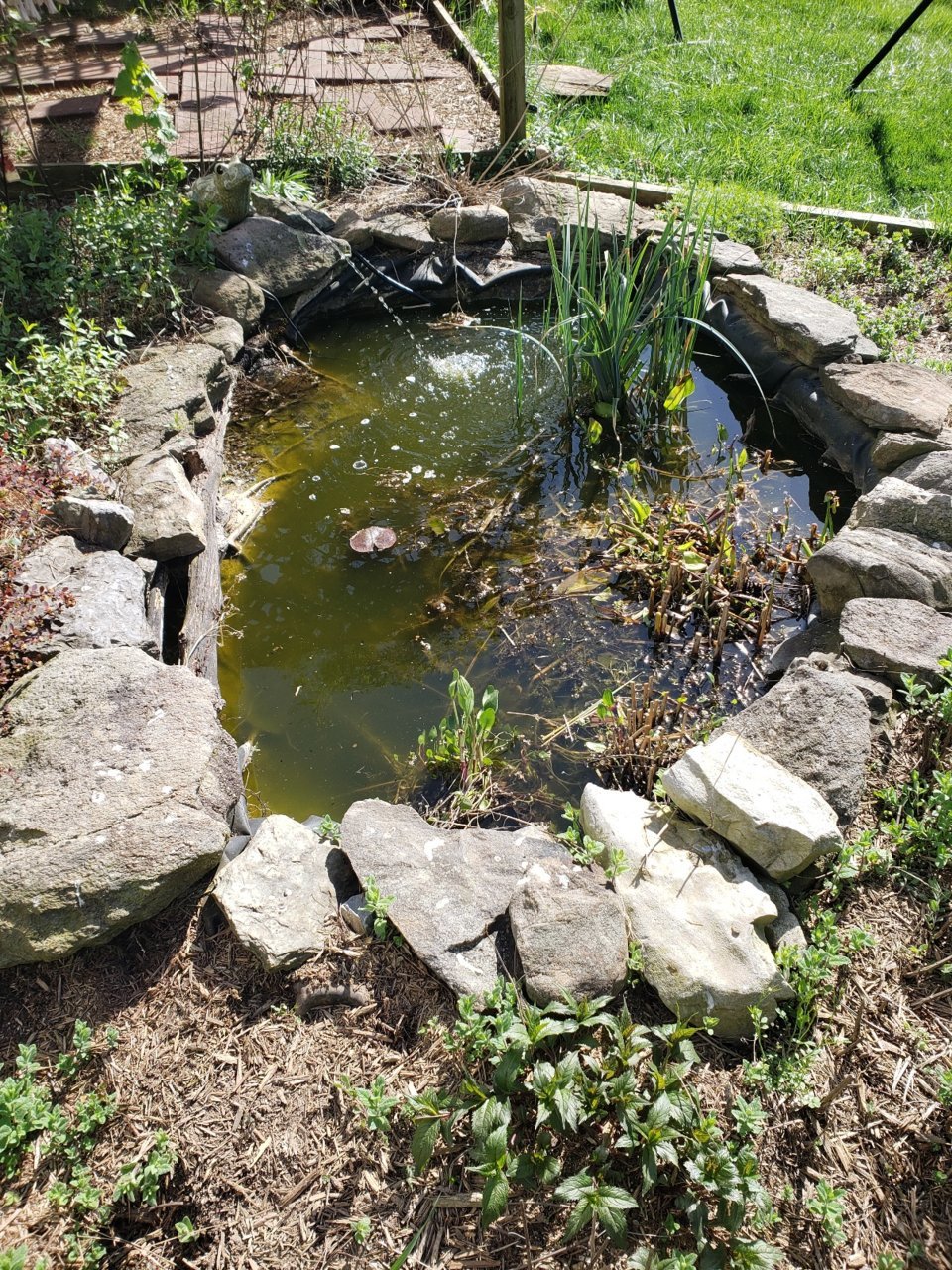 20230419_175050.jpg