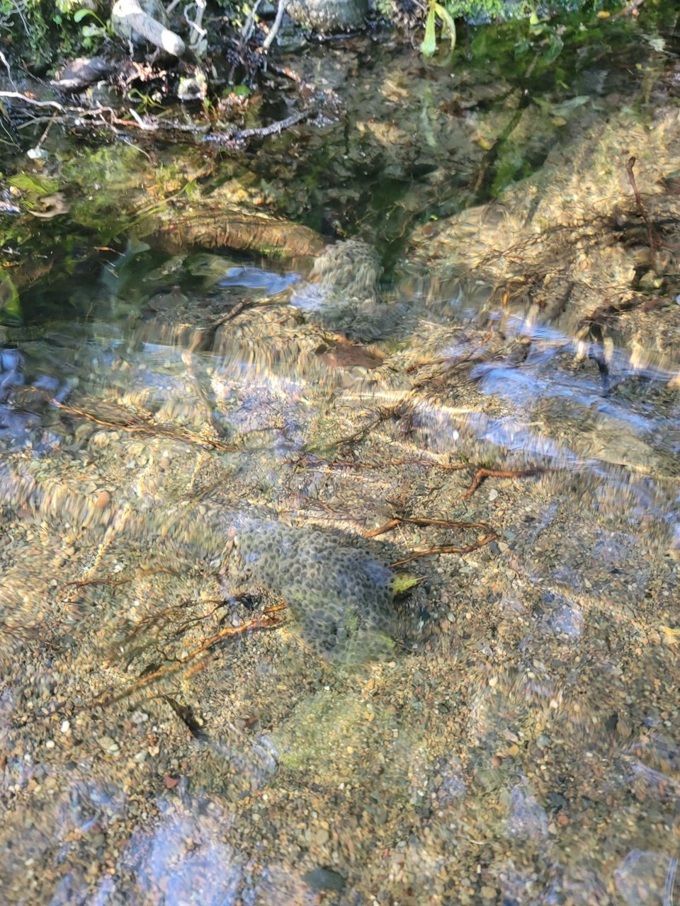 20230420_084410.jpg