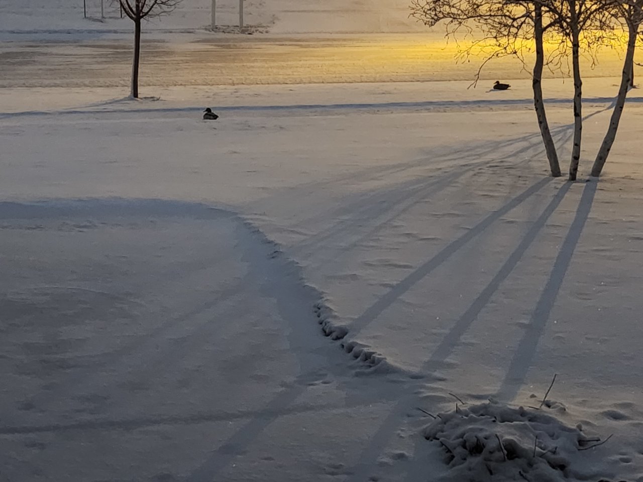 20230421_055547.jpg